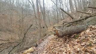 Bernheim Forest hike part 1 [upl. by Gabbert511]