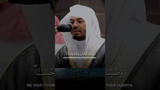 Surah AlAhqaf ayat no15 recited by Sheikh Yasser Al Dossari  Ayat About Parents in Quran [upl. by Nitsew934]