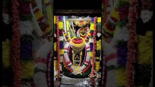 Ghati temple subramanya swamy temple narasimha swamy om saravana bhava ytshorts [upl. by Atiekahs415]