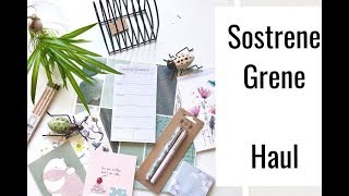 Sostrene Grene Haul XL  Schreibwaren amp Wohnaccessoires im Skandi Stil deutsch  planenaufpapier [upl. by Nivel]