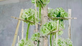 Hydrangea tree  Flower Factor floristry tutorial  Powered by Hydrangea World [upl. by Eima]