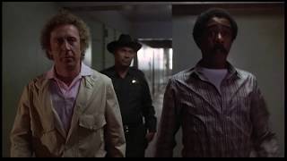 STIR CRAZY  GETTIN BAD  RICHARD PRYOR GENE WILDER [upl. by Sheryle]