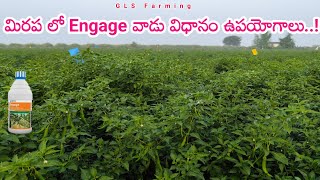 Corteva Engage Insecticide Uses Telugu  Engage Insecticide Dosage  potash fertilizer water soluble [upl. by Sabrina455]