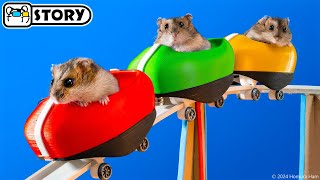 Hamsters on the Worlds Largest Roller Coaster in the Amusement Park Maze 🐹 Homura Ham Pets [upl. by Lierbag]