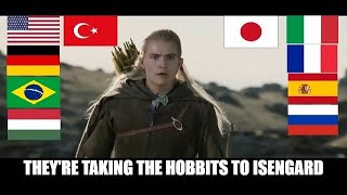 quotTHEYRE TAKING THE HOBBITS TO ISENGARDquot in Different Languages LOTR The Two Towers [upl. by Ahselak]