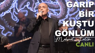 Mehmet Fatih  Garip Bir Kuştu Gönlüm  Zorlu PSM Canlı [upl. by Aikenat718]