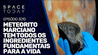 METEORITO MARCIANO TEM TODOS OS INGREDIENTES FUNDAMENTIAS PARA A VIDA [upl. by Ikcin]