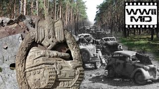 WWII Metal Detecting  German Panzer and SS  Discover History on the Eastern Front [upl. by Nipahc]