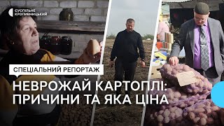 На Кіровоградщині подорожчала картопля Що вплинуло на підвищення цін [upl. by Ahsilad]