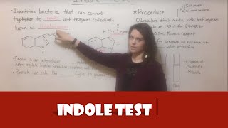 Indole Test [upl. by Dnalkrik377]