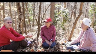 Exploring North Carolina Botanical Gardens Coker Pinetum [upl. by Ocsicnarf]