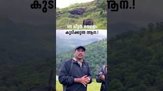 100 ലിറ്റർ വെള്ളം കുടിക്കുന്ന ആന  Periyar Tiger Reserve  shorts [upl. by Pet]