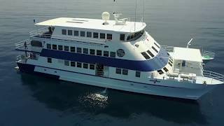 OceanQuest  Great Barrier Reef liveaboard Australia [upl. by Ainod907]