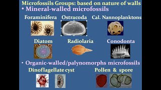 Applications of Microfossils Detailed Account Prof PK Kathal Micropaleontology [upl. by Gurango]