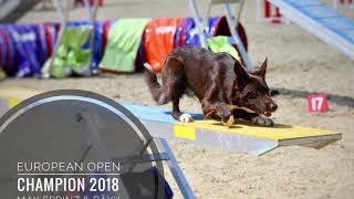 European Open Agility Champion 2018 • Max Sprinz amp Bäxx [upl. by Primo47]