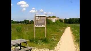 bunkers Koudekerke Zeeland Landfront Vlissingen [upl. by Haerb]