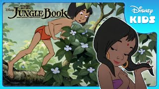 Mowgli Finds the Man Village 🏡  Jungle Book  Disney Kids [upl. by Leverick798]