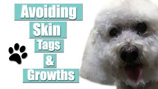 Skin Tags Growths amp Sensitive Skin On Dogs  Important Pet Grooming Tip [upl. by Ahsam]