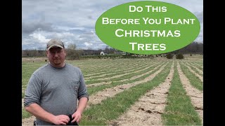 Christmas Tree Farming How we prepare our fields for planting Christmas Trees [upl. by Janela]