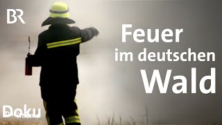 Spezialeinsatz Waldbrand Sind Großfeuer ein Problem für die deutschen Feuerwehren  DokThema  BR [upl. by Spense]