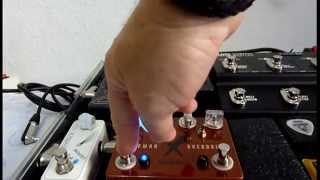 Oddfellow Caveman Overdrive  Quick Demo [upl. by Ahsikal63]