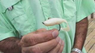 How to Bait a Fish Hook  Saltwater Fishing [upl. by Willi]