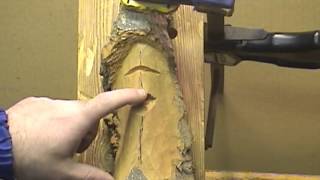 How To Carve A Wood Spirit Face With Hand Tools 3 [upl. by Matheny]