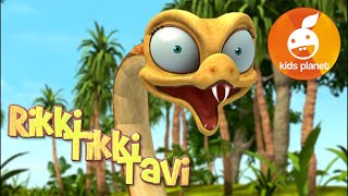 RIKKI TIKKI TAVI Episode 4  cartoons for kids  stories for children  Jungle book by R Kipling [upl. by Blake]