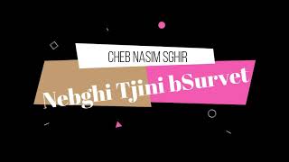 Cheb nassime sghire  nebghi tjini bsurvet  vidéo clip [upl. by Allie627]