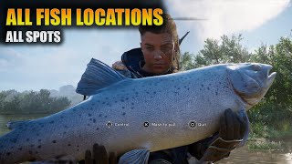 All Fish Locations  Assassins Creed Valhalla Good Catch Trophy [upl. by Eiramannod]