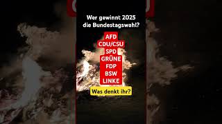 Wer gewinnt 2025 die Bundestagswahl politik deutschland bundesregierung Wahl demokratie [upl. by Reifnnej]