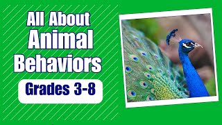 Animal Behavior  More Real World Science on Harmony Square [upl. by Gaal609]