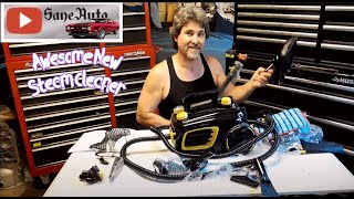 Tool review McCulloch MC1375 steam cleaner unboxing [upl. by Nirred]