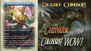 Tamiyo Inquisitive Student  Cultivator Colossus  Arena Gameplay  Deadly [upl. by Amalita823]