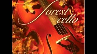 Dan Gibson  Solitudes  Forest Cello  02 Cool Forest Rain [upl. by Esoj837]