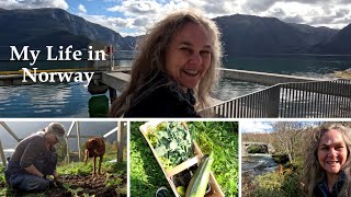 My Life in Norway  Daily Life Slow Living SelfSufficient [upl. by Cirdec]