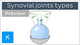 Types of synovial joints preview  Human Anatomy  Kenhub [upl. by Pare]