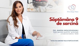 Săptămâna 9 de sarcină I Dr Amira Moldoveanu I Femmeboutiquemedicalcom [upl. by Orvas]