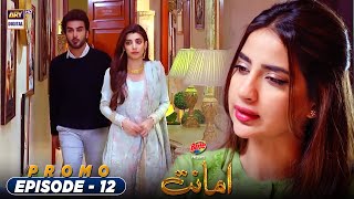 Watch Amanat Episode 12  Presented by Brite  Tuesday at 800 PM only on ARY Digital [upl. by Enowtna]