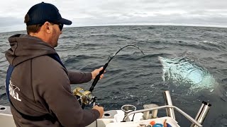 Fishing for GIANT Bluefin Tuna  Barrels of Portland [upl. by Fiden]