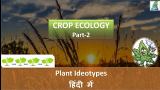 Crop Ideotypes  Plant Ideotypes  Crop ecology Part 2  Model plants  Ideotype breeding [upl. by Enwahs]