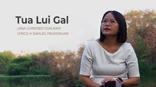 Tua Lui Gal  Chingboi Vualnam [upl. by Acireed]