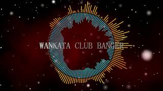 WANKATA WILLIE R CLUB BANGER 2024 REMIX [upl. by Hayilaa]