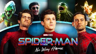 Spiderman No Way Home Explained  Detailed Recap of Spiderman NWH [upl. by Nuhs330]