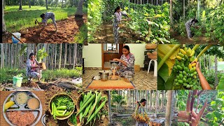 அவகேடோ🥑 இரம்புட்டான் 🌽சோள சந்தவைனு ஒரு புது விதமான அனுபவம்Vegetable harvsetingplanting new trees [upl. by Ahsaz559]