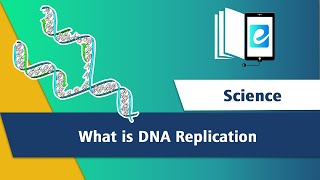 DNA Replication  Cells  RNA Polymerase  3D Animation Animated Science Video  elearn K12 [upl. by Putscher]