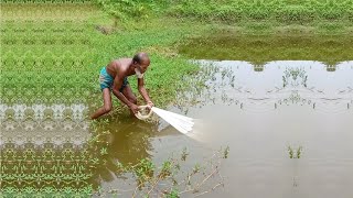 Amazing Fishing by Old Fisherman  Traditional Fishing Video  Village Fishing Video 4 [upl. by Uttasta131]