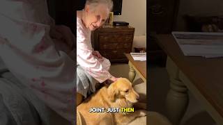 A Heartwarming Bond Between a Grandma and Her Dog [upl. by Manaker]