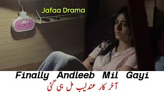 Jafaa Drama Review  We have found Andleeb  Sehar Khan  Usman Mukhtar  EPISODE 2930 [upl. by Naesyar]