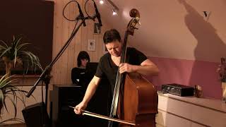 Dittersdorf — Concerto No 2 Mov 1 Played by Bogusław Furtok Double Bass [upl. by Candra]